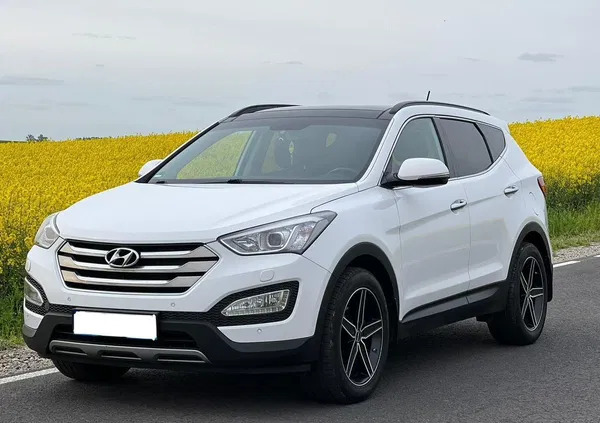 hyundai santa fe Hyundai Santa Fe cena 80800 przebieg: 219000, rok produkcji 2015 z Toruń